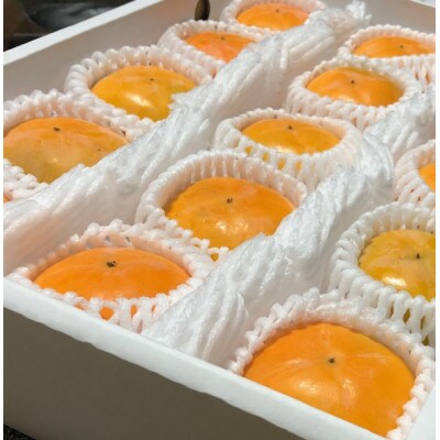 贈答用　たねなし柿　3kg