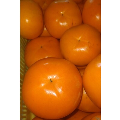 紀州てまり　10個～12個入　約3kg