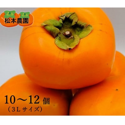 【先行受付　2025年秋順次発送】秋の味覚のたねなし柿(3Lサイズ　10～12個)