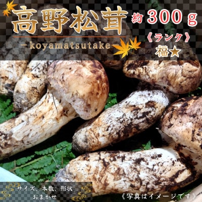 【和歌山産】～香りそのまま真空パック～高級・希少高野松茸　300g(福:★)
