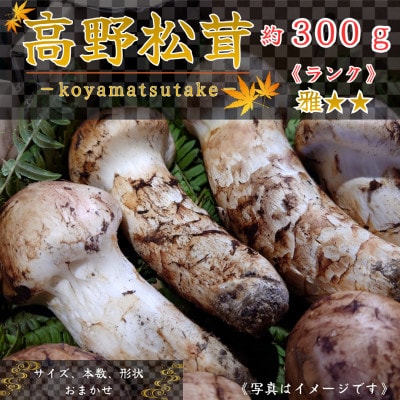 【和歌山産】～香りそのまま真空パック～高級・希少 高野松茸　300g(雅:★★)