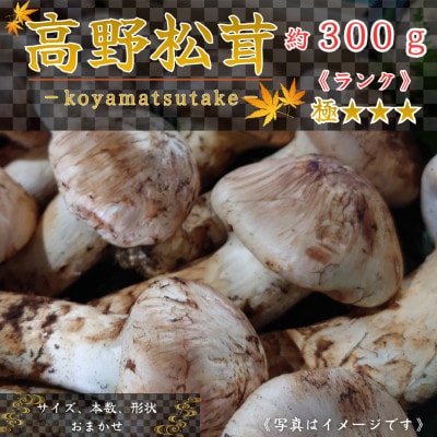 【和歌山産】～香りそのまま真空パック～高級・希少 高野松茸　300g(極:★★★)