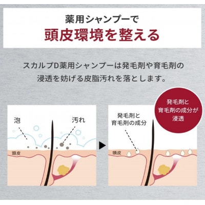 【2ヵ月毎定期便】スカルプD　薬用スカルプシャンプー　ストロングオイリー [超脂性肌用]全6回