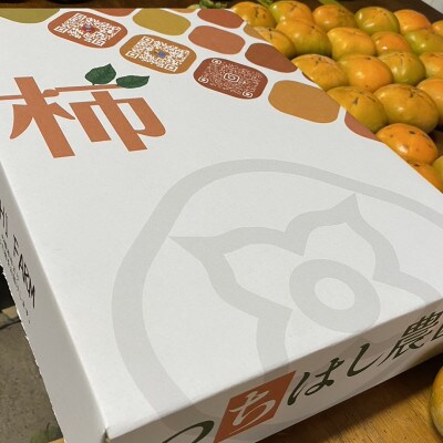 柿の産地 和歌山県橋本市の秋を先取り極早生柿