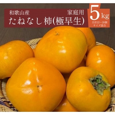 【2025年秋発送】たねなし柿(極早生)22～28個(5kg)和歌山県産フルーツ