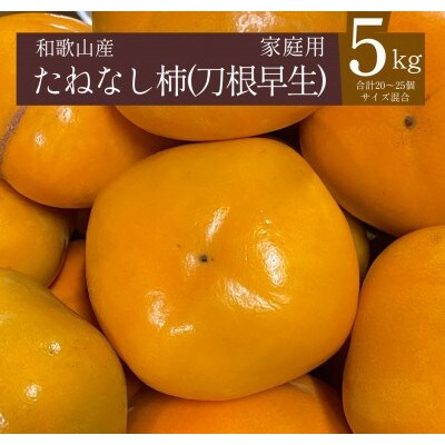 【2025年秋発送】たねなし柿(刀根早生)20～25個(5kg)和歌山県産フルーツ