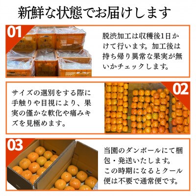 【2025年秋発送】たねなし柿(刀根早生)20～25個(5kg)和歌山県産フルーツ