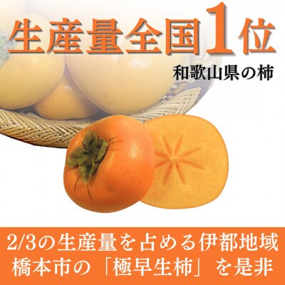 【2025年秋発送】たねなし柿(刀根早生)20～25個(5kg)和歌山県産フルーツ