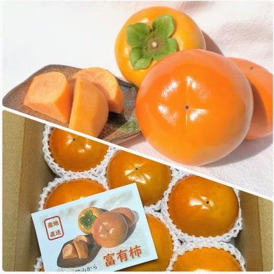 三浦農園の富有柿