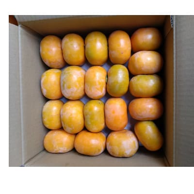 和歌山県産たね無し柿　L・2Lサイズ　5kg