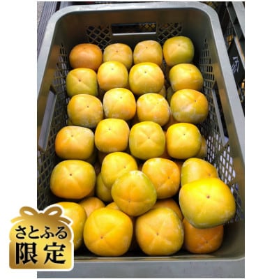 【さとふる限定】和歌山県産たね無し柿A品 L・2Lサイズ箱込み計5kg