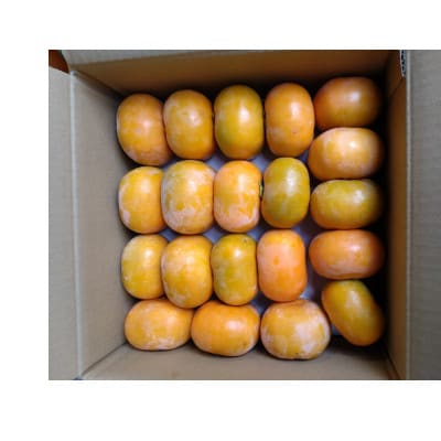 【さとふる限定】和歌山県産たね無し柿A品 L・2Lサイズ箱込み計5kg