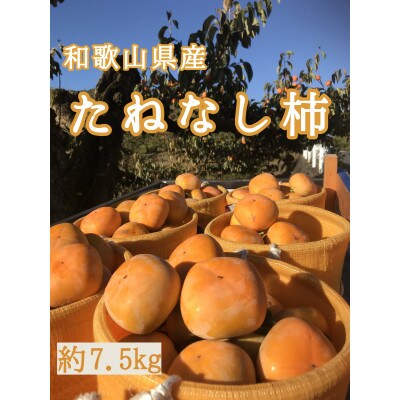 吉田屋のたねなし柿(訳あり)約7.5kg
