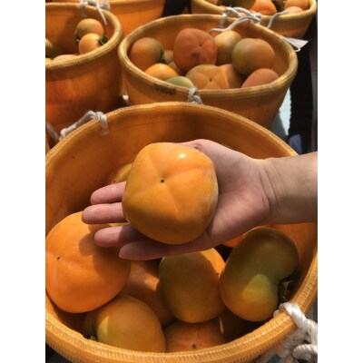 吉田屋のたねなし柿(訳あり)約7.5kg