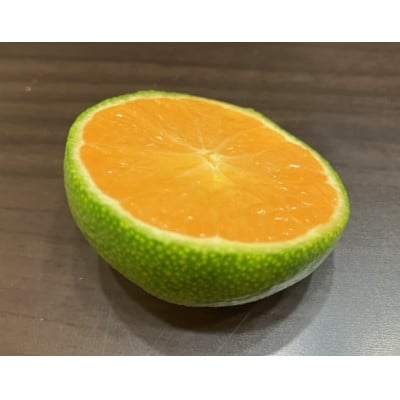 グラスパズル　「重ねてみかん」 蜜柑と八朔と甘夏とネーブル | 和歌山県の果実酒 | クラフト酒