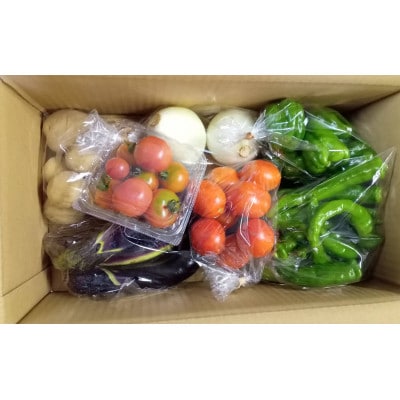 旬の野菜セット