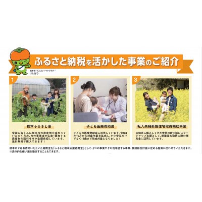 【返礼品なし】和歌山県橋本市への応援寄附金(1,000円分)