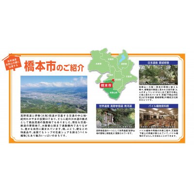 【返礼品なし】和歌山県橋本市への応援寄附金(10,000円分)