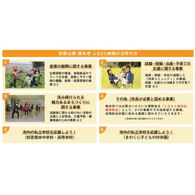 【返礼品なし】和歌山県橋本市への応援寄附金(10,000円分)