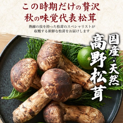 国産　天然高野松茸　約300g