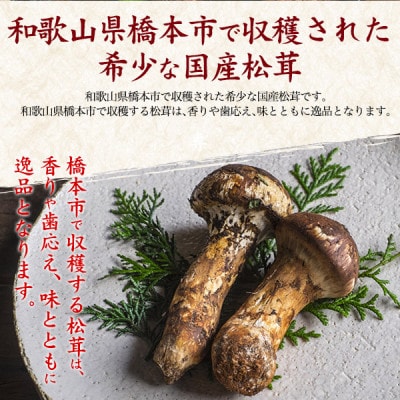 国産　天然高野松茸　約300g