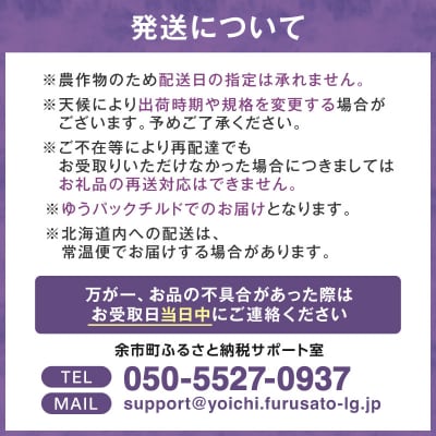 2026年8月中旬より発送　余市の砂川果樹園が贈る【余市の生プルーン】1.6kg_Y033-0040