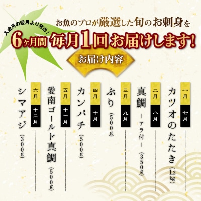 定期便 6回 刺身 鮮魚 冷凍 真空 パック 旬 かつお タイ ブリ シマアジ カンパチ 高級