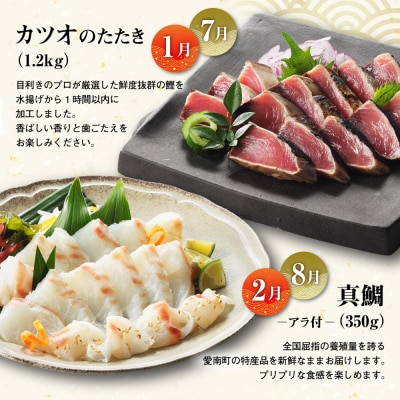 定期便 6回 刺身 鮮魚 冷凍 真空 パック 旬 かつお タイ ブリ シマアジ カンパチ 高級