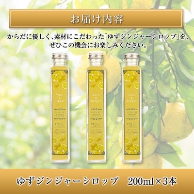 ◆宮崎ハンドメイド　ゆずジンジャーシロップ×3本(合計600ml)