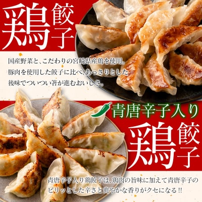宮崎鶏ぎょうざ「まる金」の餃子 2種食べ比べセット たれ付き