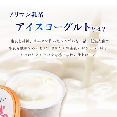 牛乳屋さんが作った アイスヨーグルト セット 80g 9個 カップ 宮崎県産