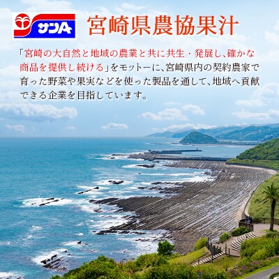 宮崎緑茶 すっきりわかば 500ml×24本 ペットボトル サンA