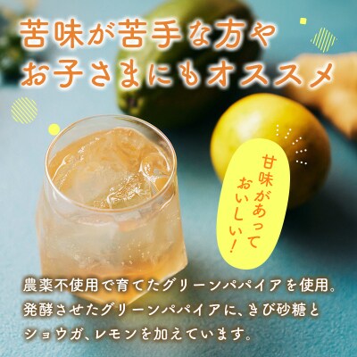 クラフト酵素シロップ グリーンパパイア 250ml×3個 宮崎県産