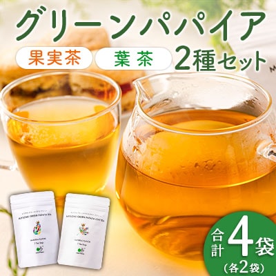 グリーンパパイアティー 2種 セット (果実茶&葉茶) ティーバッグ 計4袋 宮崎県産