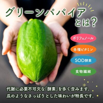 グリーンパパイアティー 果実茶 計4袋 セット (1.5g×7個/1袋) ティーバッグ 宮崎県産