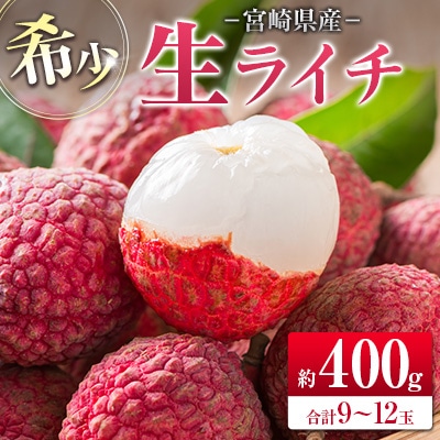 ◆希少!宮崎県産 生ライチ(合計約400g)