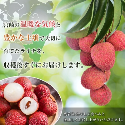 ◆希少!宮崎県産 生ライチ(合計約400g)