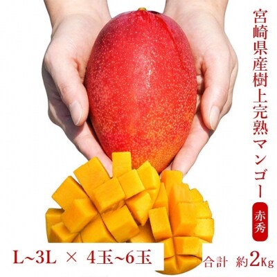 ◇宮崎県産完熟マンゴー[赤秀] 合計約2kg(4～6玉)