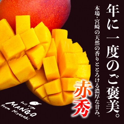 ◇宮崎県産完熟マンゴー[赤秀] 合計約2kg(4～6玉)