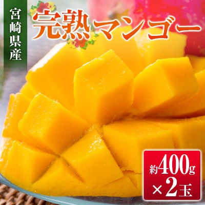 ◇宮崎県産 完熟マンゴー(2玉)