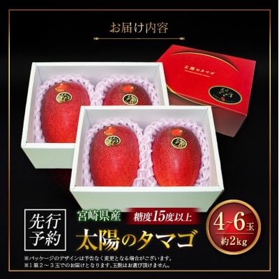 ≪先行予約≫ 宮崎県産 完熟マンゴー「太陽のタマゴ」約2kg 計4～6玉 2026年発送 ブランド 