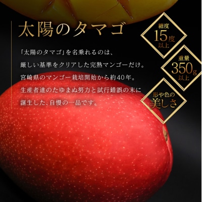 ≪先行予約≫ 宮崎県産 完熟マンゴー「太陽のタマゴ」約3kg 計6～9玉 2026年発送 ブランド 