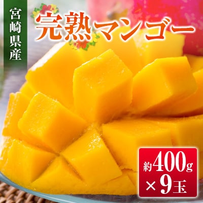 ◆宮崎県産 完熟マンゴー(9玉)