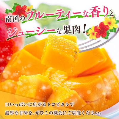 ◆宮崎県産 完熟マンゴー(9玉)