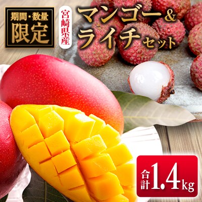 ◆宮崎県産 マンゴー&ライチセット(合計約1.4kg)