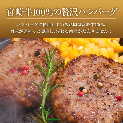 ◆宮崎牛ペッパーハンバーグセット8個入り(合計800g)