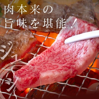 ◆宮崎牛モモ焼肉(500g)