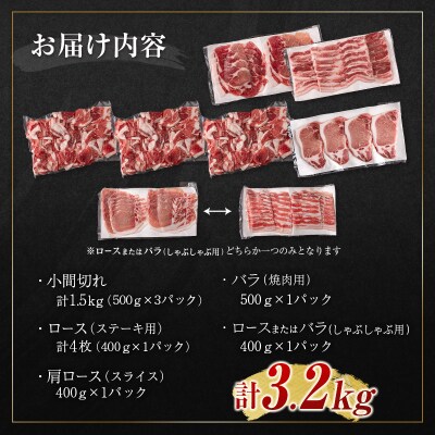 宮崎県えびの市産 いもこ豚 バラエティーセット 計3.2kg