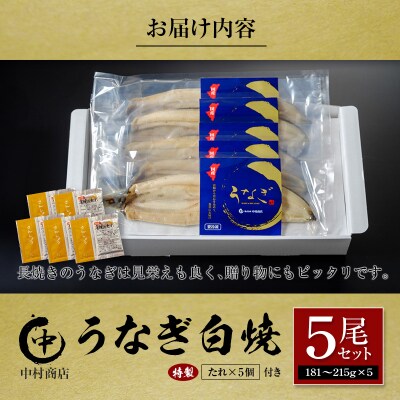 中村商店 うなぎ白焼5尾セット 計905g以上