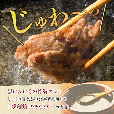 黒にんにくのタレにじっくり漬け込んだ唐揚げ 合計1.2kg 国産 からあげ 鶏肉 もも 惣菜
